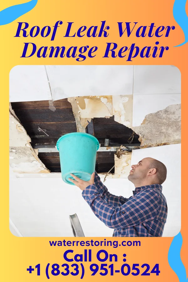 Roof Leak Water Damage Repair in Story City, IA